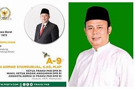 Anggota Dpr Ri Fraksi Pkb 2024